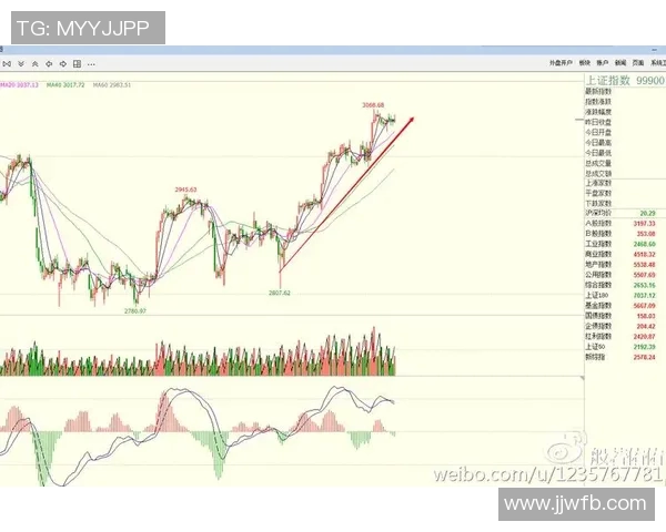 上海排球队防守策略解析与战术创新探讨 上海排球队防守策略解析与战术创新探讨
