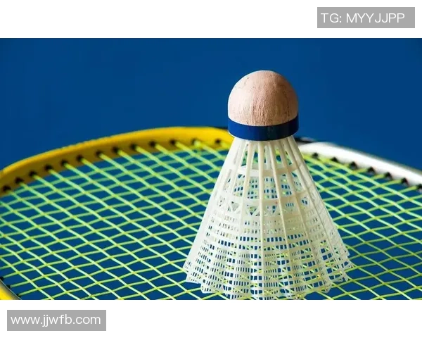 杭州羽毛球队在邀请赛中的战术分析与表现评估